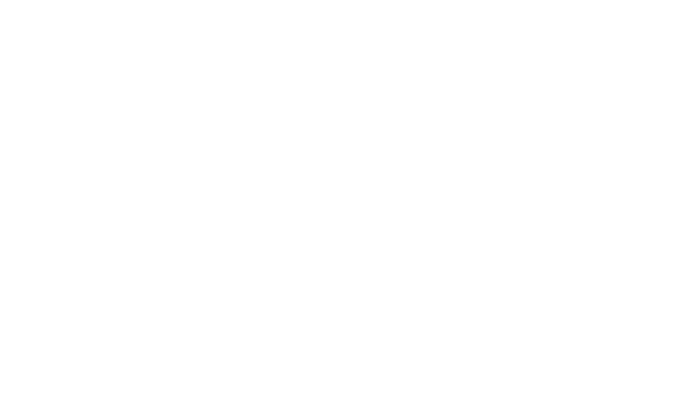 The Binary Squad Logo